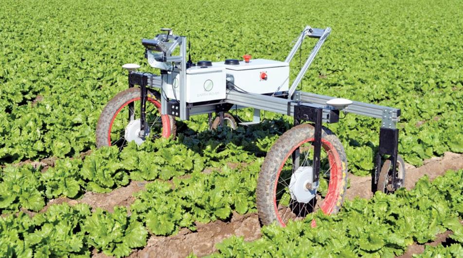LightWeeder is a weeding system delivered by lightweight autonomous Earth Rover field robots - credit: LightWeeder